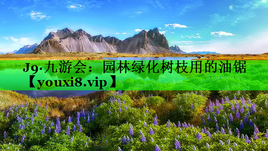 园林绿化树枝用的油锯