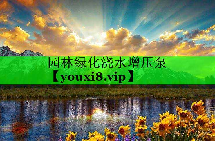 园林绿化浇水增压泵