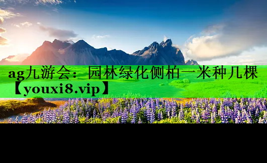 园林绿化侧柏一米种几棵