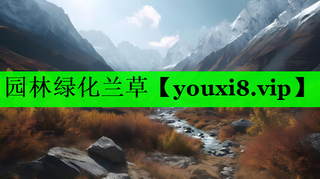 园林绿化兰草