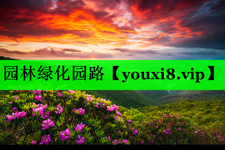 园林绿化园路