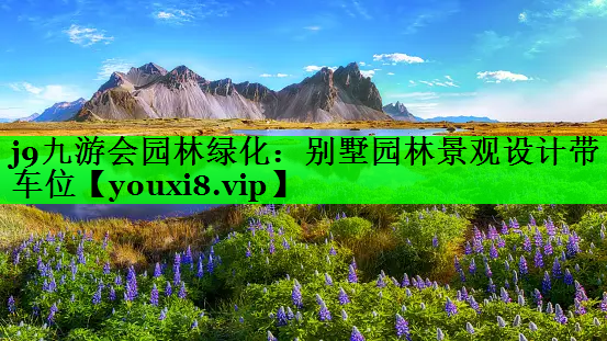 别墅园林景观设计带车位