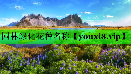园林绿化花种名称