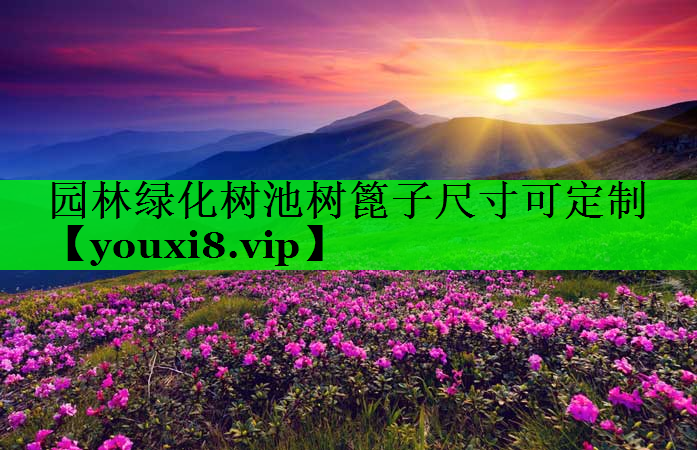 园林绿化树池树篦子尺寸可定制