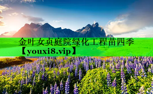 金叶女贞庭院绿化工程苗四季