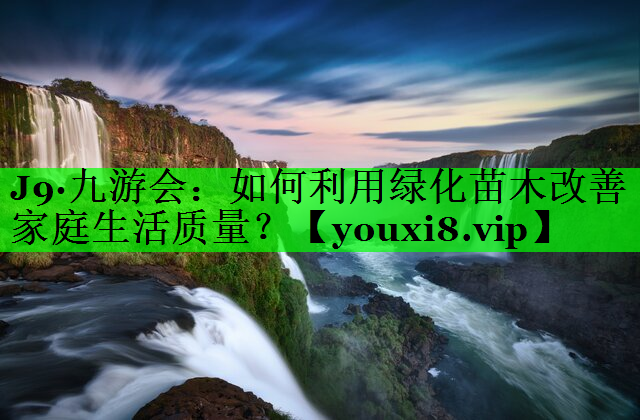 如何利用绿化苗木改善家庭生活质量？