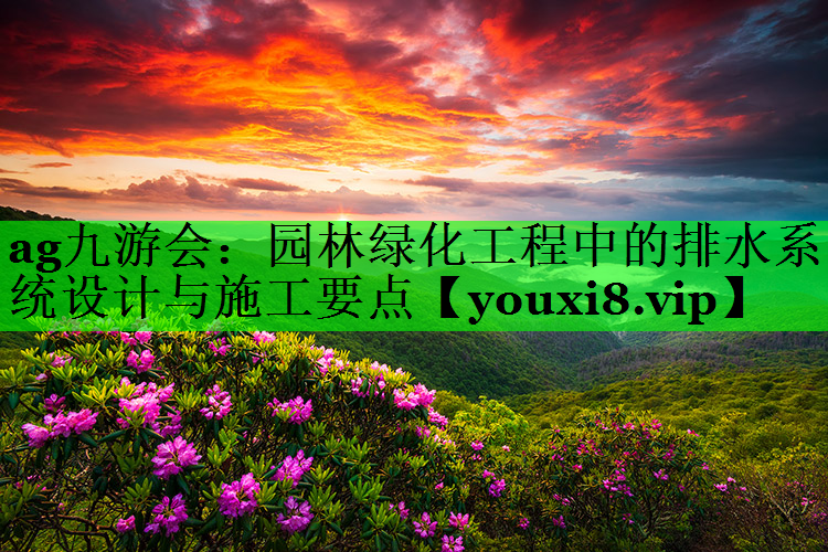 园林绿化工程中的排水系统设计与施工要点